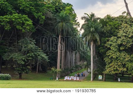 Royal Gardens of Peradenia near Kandy, Sri Lanka