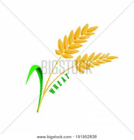 Logo Icon Design Wheat Farm Design Creative