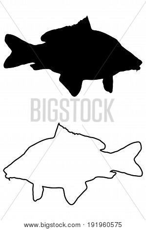 carp silhouette vector , ( Cyprinus carpio )