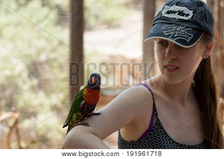 Kibutz Nir David Israel June 10 2017 : Parrot sits on the hand of a young woman at the Australian Zoo Gan Guru in Kibbutz Nir David in Israel