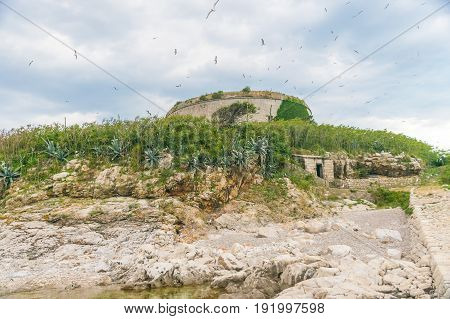 Ancient Fortress Is Located On The Island Of Mamula. Boka-kotor Bay. Montenegro.