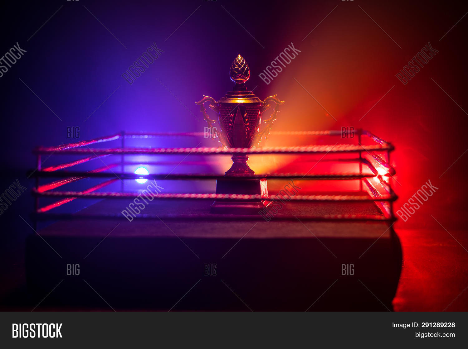 Update more than 160 boxing ring decorations best vova.edu.vn