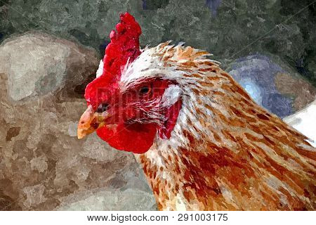 Chicken, Portrait. Painting Wet Watercolor On Paper. Naive Art. Abstract Art. Watercolor On Paper.