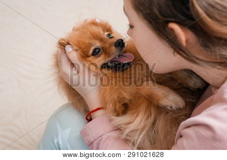 Teenage Girl With A Dog Breed Spitz Rejoices With A Pet At Home On The Floor. Care And Training Of A