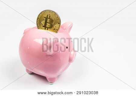 Putting Bitcoin To Piggy Bank, New Virtual Electronic And Digital Money, Hodl Investment Concept