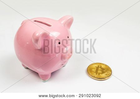 Putting Bitcoin To Piggy Bank, New Virtual Electronic And Digital Money, Hodl Investment Concept