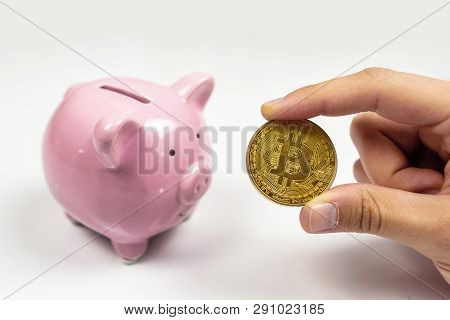 Putting Bitcoin To Piggy Bank, New Virtual Electronic And Digital Money, Hodl Investment Concept
