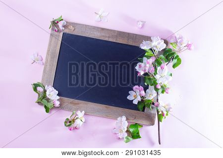Spring Apple Tree Blooming Flowers On Pink Background, Top View Flat Lay Scene With Copy Space On Bl