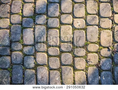Gray Paving Stones In The Park Close Up, Paving Stones Overgrown With Grass