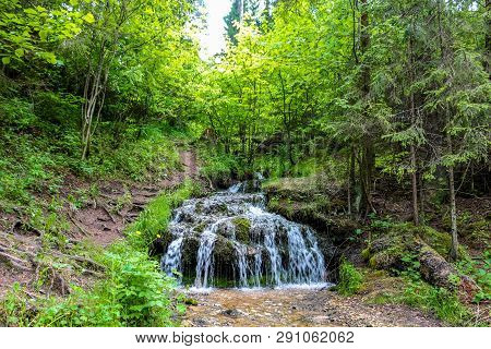 Forest Stream 