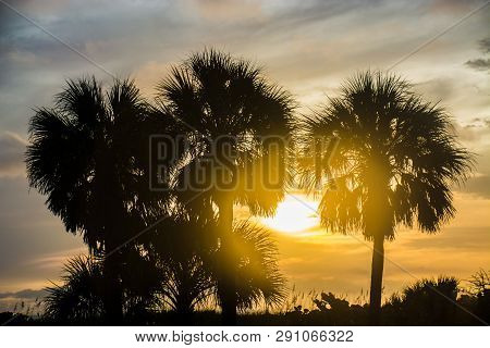 Sunset Sarasota Beach Image & Photo (Free Trial) | Bigstock