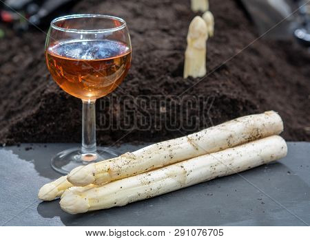 New Harvest Of  White Asparagus Vegetable In Spring Season And Glas Rose Wine, White Heads Of Aspara