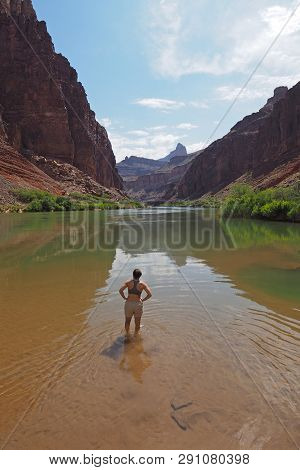 Young Woman Wading In A Calm Section Of The Colorado River Above Hance Rapids In Early Morning In Gr