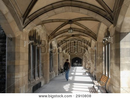 大学の回廊