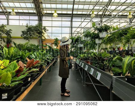 St. Albert, Alberta, Canada - March 23rd, 2019: A Young Elegant Woman Browsing An Aisle Of Fresh Pla