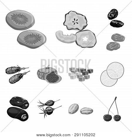 Vector Illustration Of Vitamin  And Nature  Symbol. Set Of Vitamin  And Dried  Stock Vector Illustra