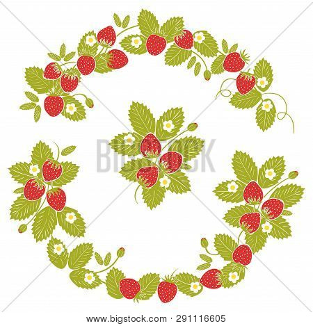 Summer Or Spring Season Frame With Strawberry, Leaves And Flowers. Decoration Element For Cards And 