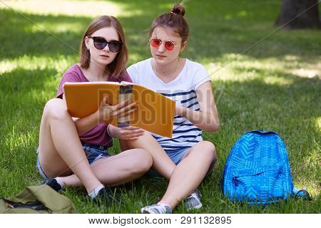 Two Young Woman Study Togheter In Park, Wears Casual Clothes And Sunglasses, Read Abstracts While Pr