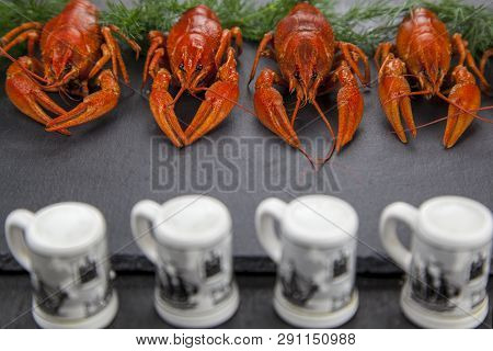 Boiled Cooked Crayfishs  On Black Background,with Lemon And Dill
