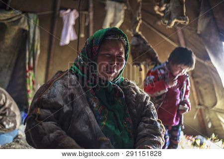Nadym, Russia - August 27, 2018:tundra, The Extreme North, Yamal, The Pasture Of Nenets People, The