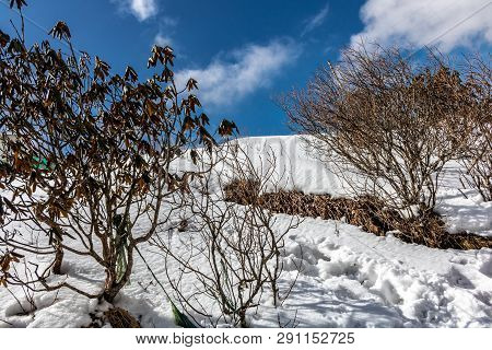 Tsomgo ( Changu ) Lake Going To Frozen, This Beautiful Himalayan Lake Obviously Fascinate You With A