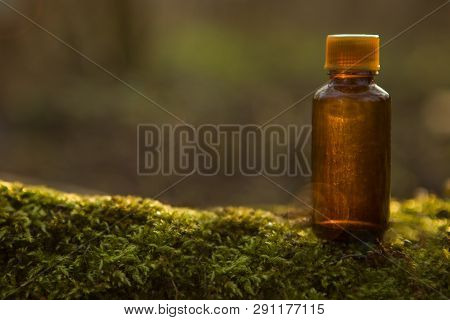 Medical Bottle  And Medical Flowers Herbs. Natural Cosmetics, Bottle  - Alternative Medicine.