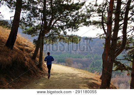 A Young Man On A Run On A Path Among The Mountains And A Number Of Growing Pines, Ahead Of The Mount