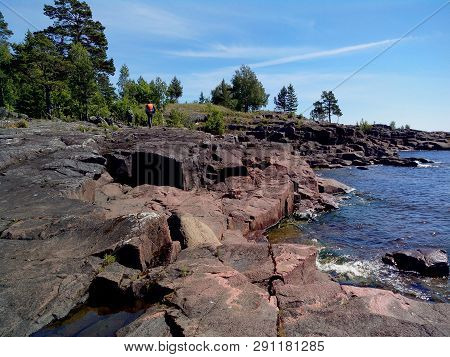 Mighty Trees Grow Along The Shores Of Valaam Island. The Wonderful Island Valaam Is Located On Lake 