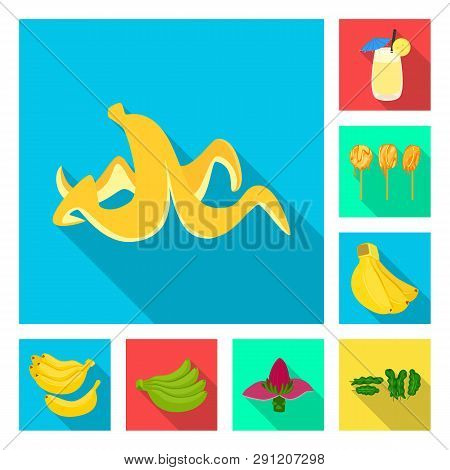 Vector Design Of Natural And Vegetarian Sign. Set Of Natural And Eating Stock Symbol For Web.