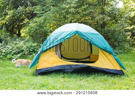 Tourism And Adventures Concept - Nature Landscape Yellow Camping Tent With Tree On Green Grass Meado