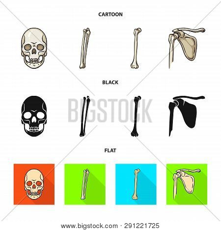 Vector Design Of Medicine And Clinic Icon. Set Of Medicine And Medical Vector Icon For Stock.