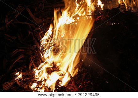 Fire, Flames On A Black Background, Fire Texture