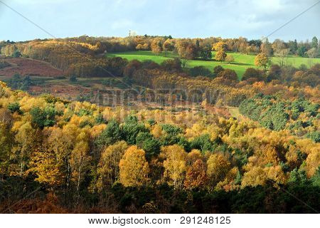 Ashdown Forest Colours