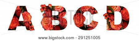 Floral font letter ABCD from a real red-orange roses for bright design. Stylish font of flowers for conceptual ideas.