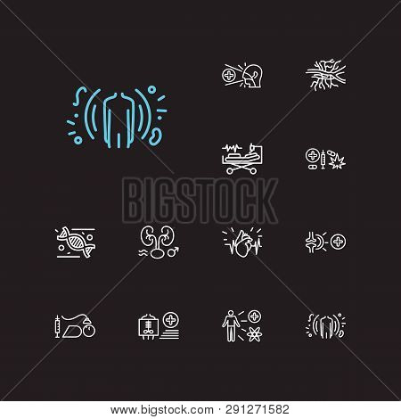 Anatomy Icons Set. Andrology And Anatomy Icons With Genetics, Addiction Medicine And Angiology. Set 