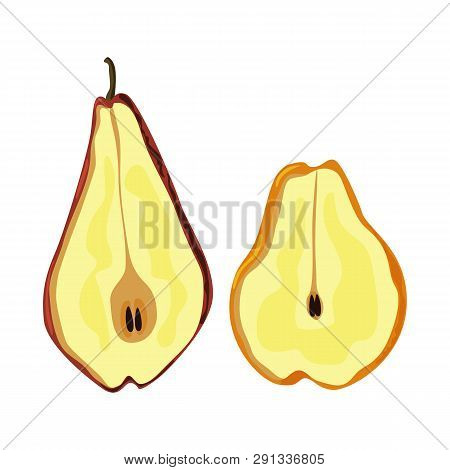 Vector Design Of Pear And Dry Icon. Set Of Pear And Organic Stock Symbol For Web.