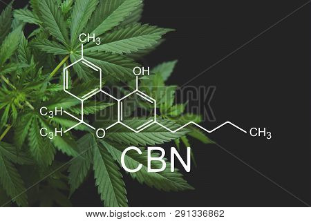 Cbn Formula, Cannabinoid . Medical Marijuana, Despancery Business. Cbd And Thc Elements In Cannabis,