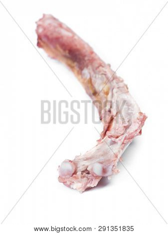 Single bone with flesh isolated on white