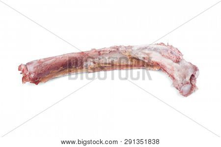 Single bone with flesh isolated on white