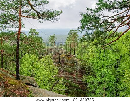 Trees Growing On Top Of The Gigantic Sandstone Rocks Among The Forest In Spring Cloudy Day. Landscap