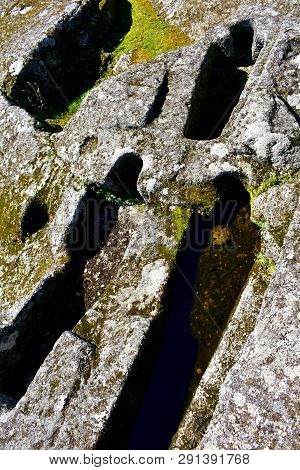 Medieval Anthropomorphic Tombs Dug In Stone. Sarmiento Castle, Ribadavia, Spain.