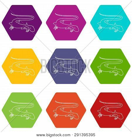 Brisk Lizard Icons 9 Set Coloful Isolated On White For Web