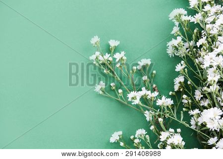 White Cutter Flower Blooming On Green Background - Selective Focus
