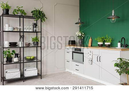 Green And Grey Kitchen Interior With Plants And Herbs, Real Photo With Copy Space