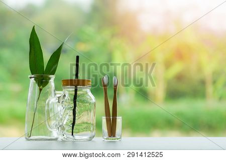Zero Waste Use Less Plastic Concept / Eco Green Leaf In Water Glass Jar With Straw Pitcher Vase And 