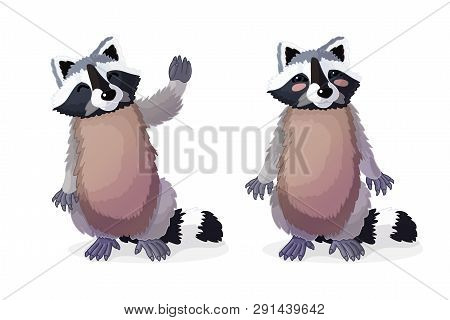 Vector Cartoon Animal Clip Art Cute Raccoons