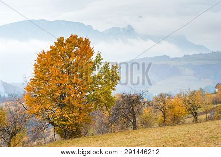 Amazing Autumn Sunset Over The Mountains In Poiana Marului