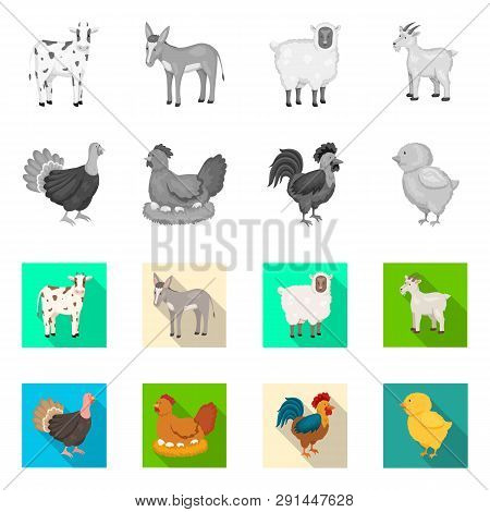 Vector Design Of Breeding And Kitchen  Icon. Collection Of Breeding And Organic  Vector Icon For Sto