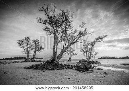 Blackwhite Panorama Photo Of  Batam Bintan Wonderful Indonesia