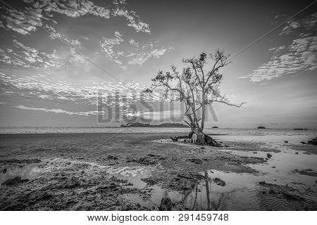 Blackwhite Landscape Photo Of  Batam Bintan Wonderful Indonesia